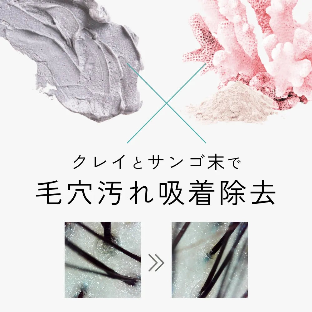 【お試し版】クレイシースパ クレンジングトリートメント 100g（さらさらクールorしっとりモイスト）※４本以上購入用